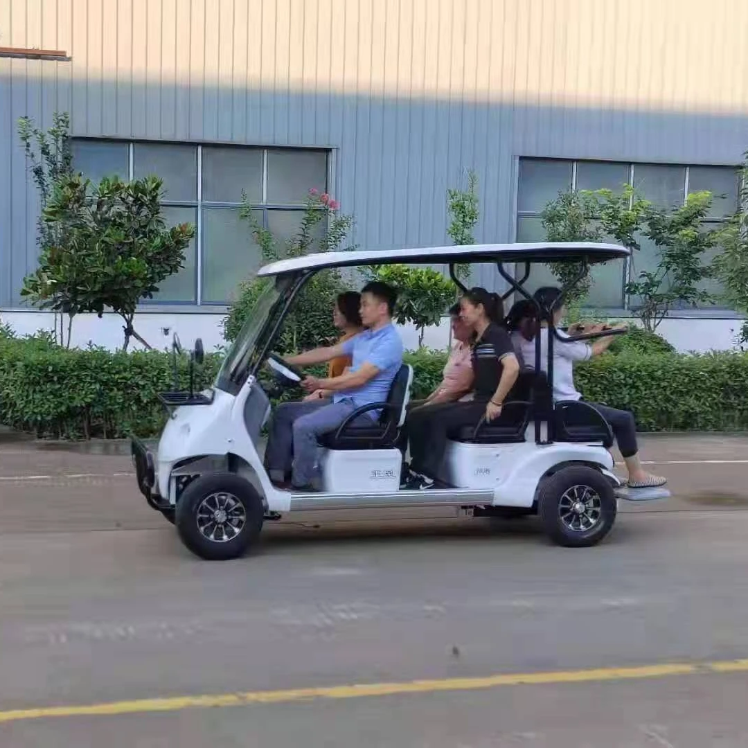 adult electric vehicle   new energy car
