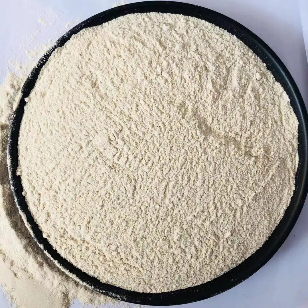 Wholesale feed grade livestock and poultry calcium hydrogen phosphate high content 99% calcium hydrogen phosphate low price