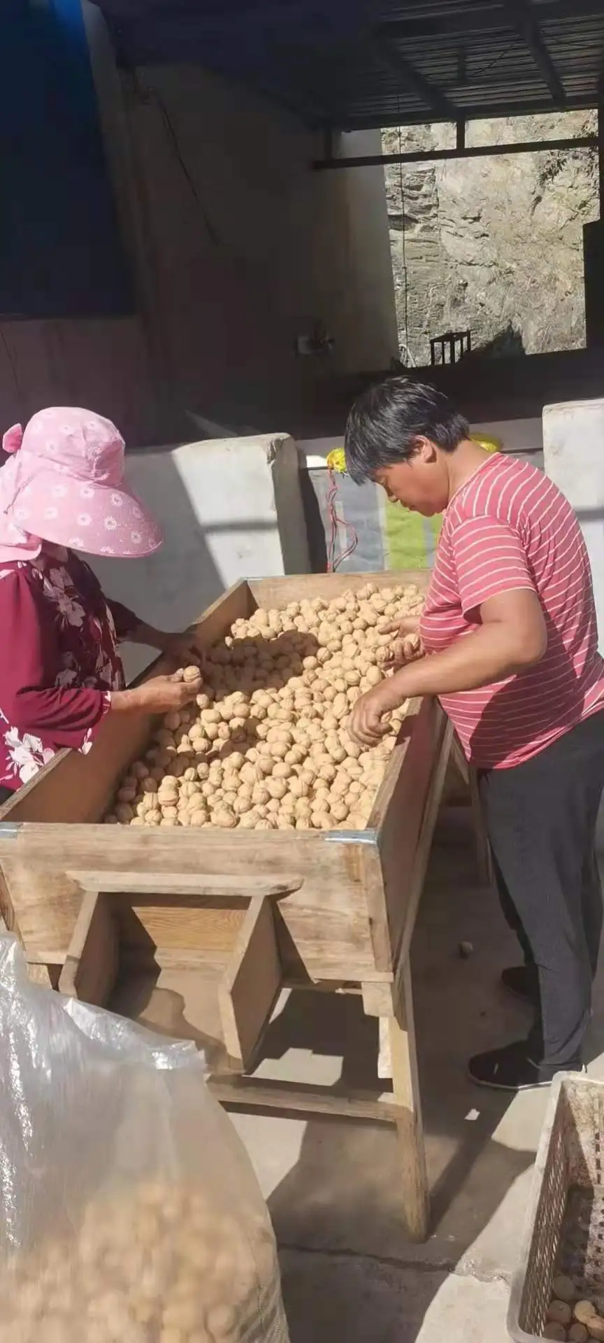 Китайский новый урожай 2021 шелковистая дешевая бумажная оболочка Xinjiang ореховая