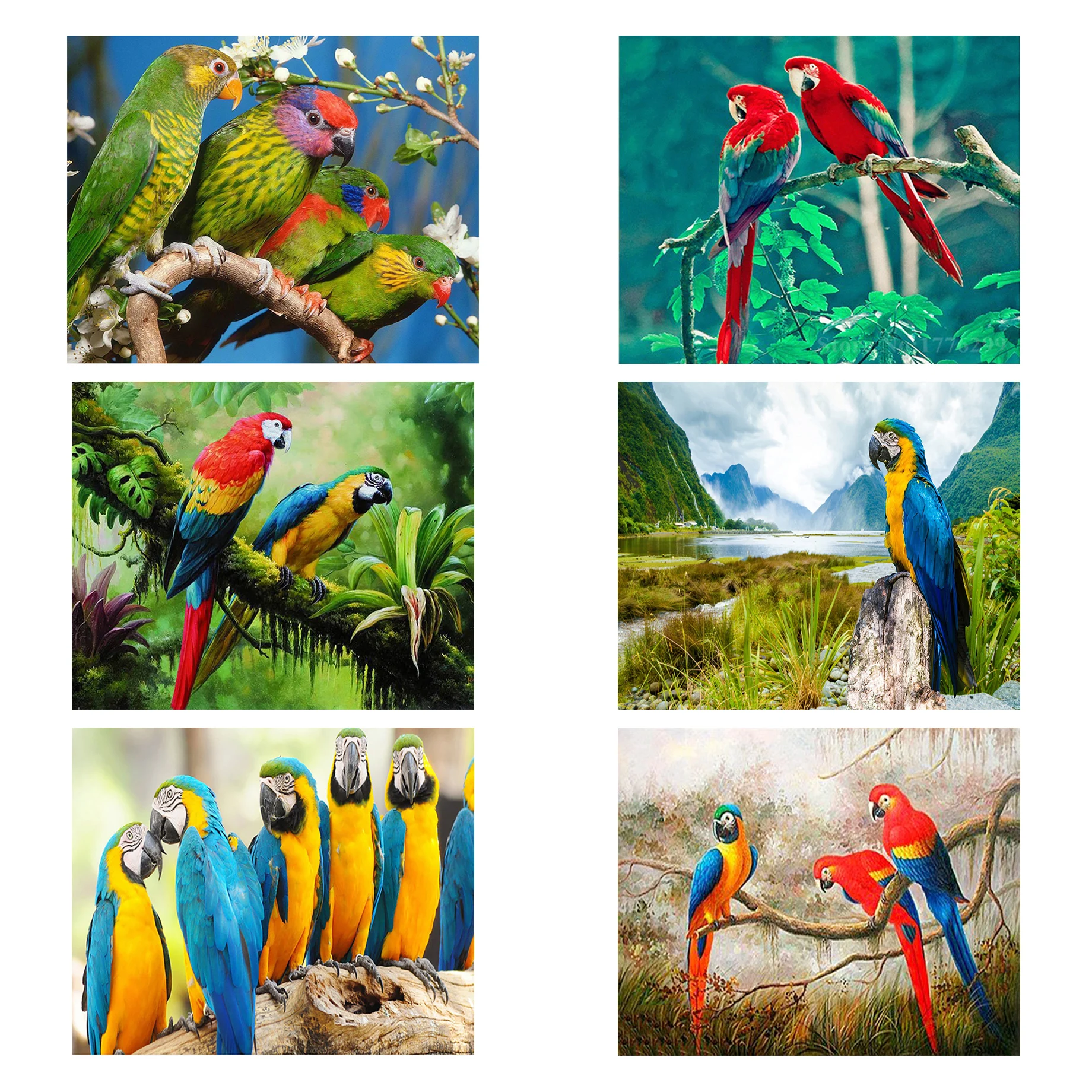 5D DIY Full Square/Round Diamond Painting Cross Stitch Kits Diamond Embroidery Animal Mosaic Parrot Art Home Decoration Crafts