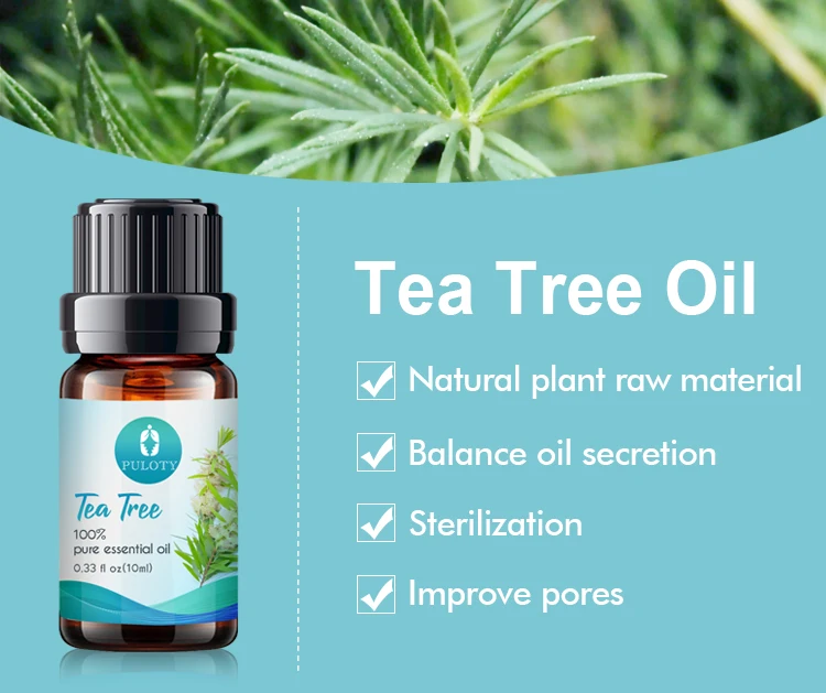 Factory wholesale bulk free sample tea tree essential oil private label pure natural undiluted tea tree oil for skin care