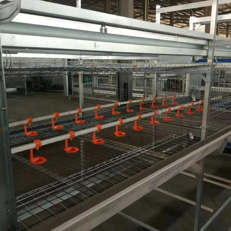 Automatic chicken feeding cage    H Frame Chicken Coop