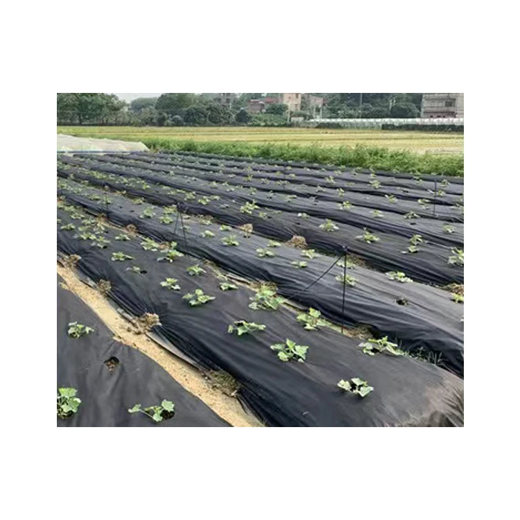 Yuchen Black Color Green House Pp Spun Bond Anti Uv Protection Gardening Garden Home Use Grass Cover Weed Mat Control Mulch
