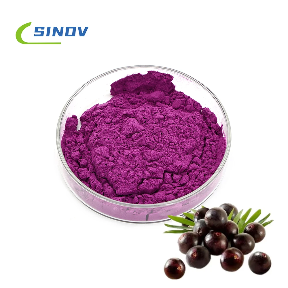 Fruit Extract Anthocyani Acai Berry Juice Powder Acai Berry Powder Acai Berry Extract