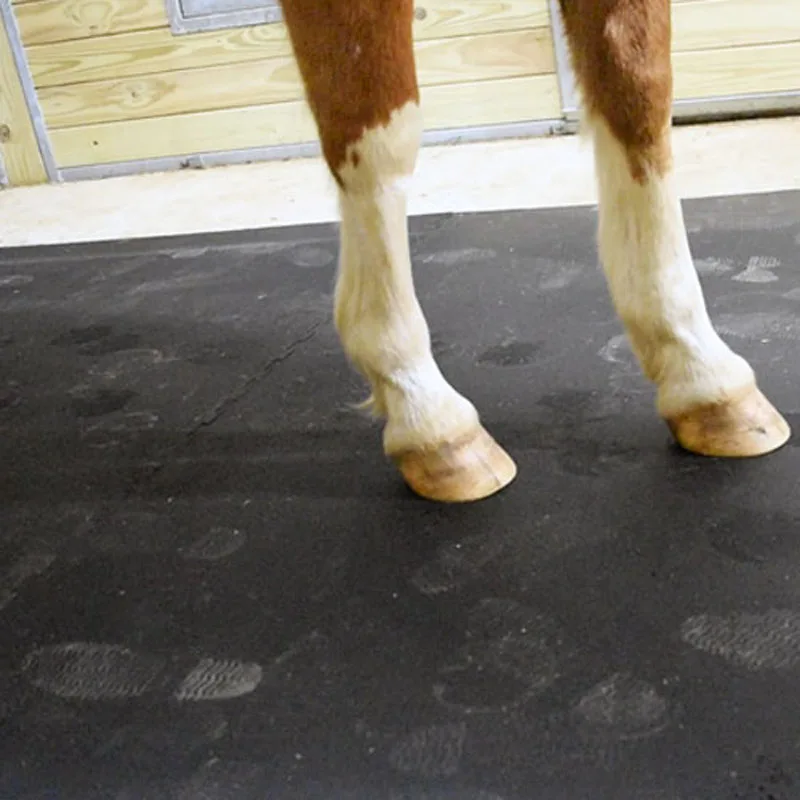 12mm Thickness Equine rubber sheet Rubber mats Horse Stall Mats