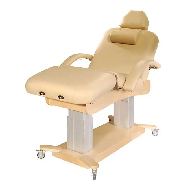 Watt Liftback High Quality 2 Motor Good Sell Portable Physiotherapy Massage Bed Treatment Table Beauty Bed