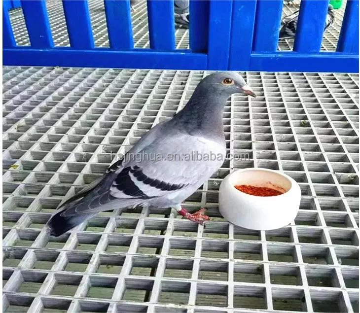 Factory Pigeon Grate Fibreglass Sheet Metal Floor Grills FRP Grating for Racing Pigeon Lofts For Sale
