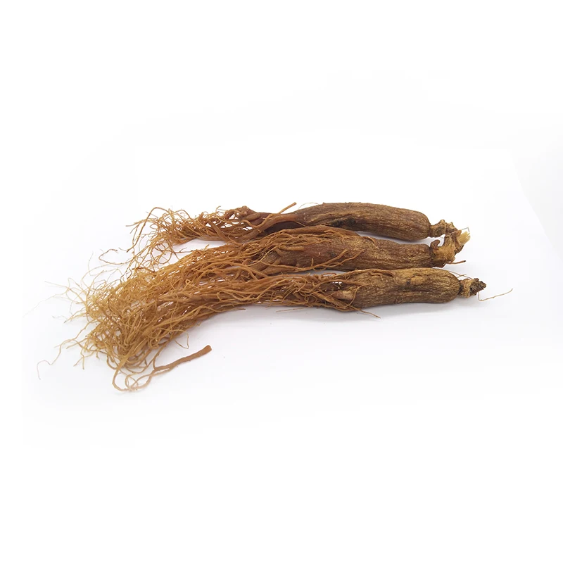 
6 years old low pesticides red ginseng whole root 