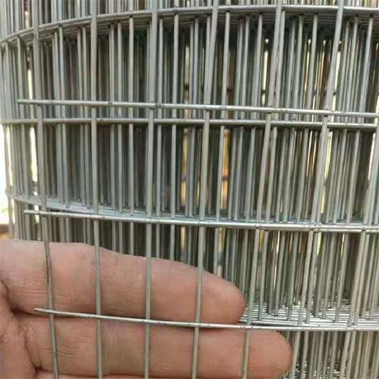 2x2 galvanized welded wire mesh chicken pens and galvanized welded wire mesh cage pvc welded wire mesh
