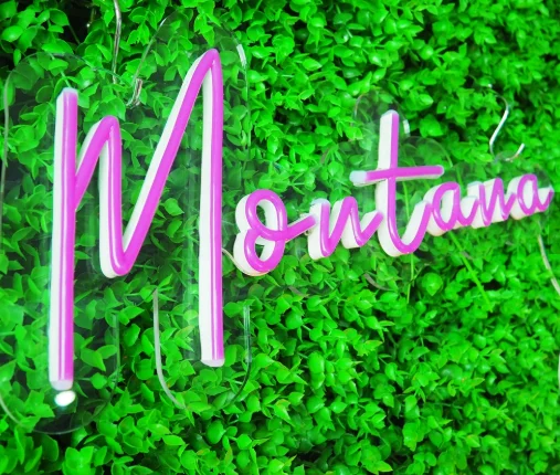 Наружная сделанная на заказ светодиодная рекламная приветственная вывеска Свадебная 12V неоновая вывеска свет