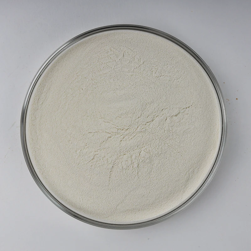 High Activity Enzyme 200,000 Alkaline Protease food grade protease enzyme