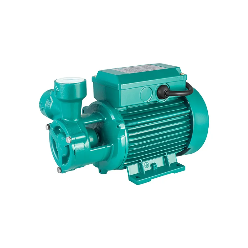 0.75HP/1HP Model QB60 Irrigation Agriculture OEM Supported  High Pressure Electric 220V Domestic Single-Stage Vortex Water Pump