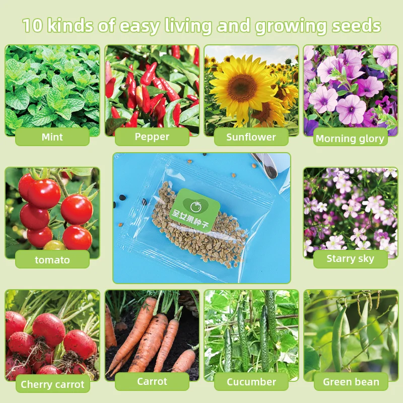 best small mini greenhouse kits green house hous homes indoor garden greenhouses supplies for plants greenhouse for outdoors sal