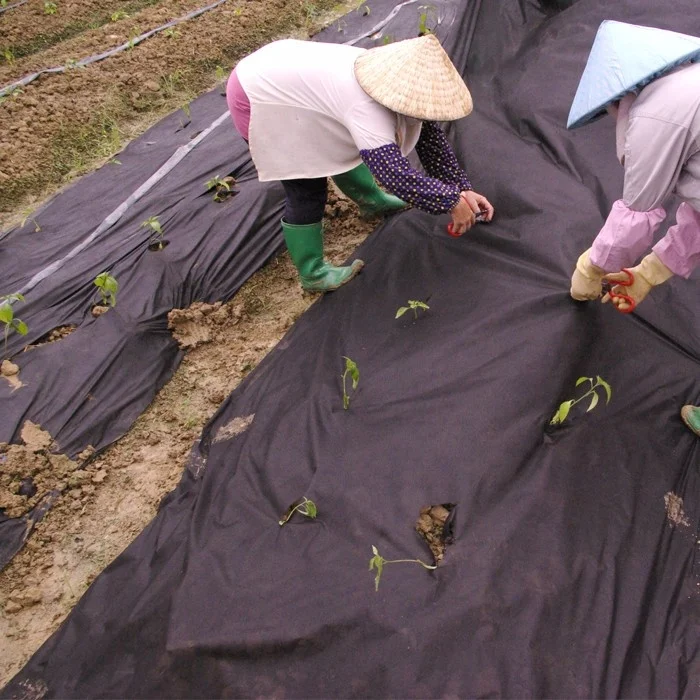 100% BIODEGRADABLE PLA FIBER MULCH MAT WEED BARRIER CLOTH