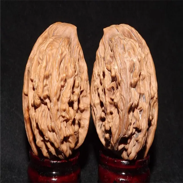 2021 New Crop Harvest Walnut/Walnut in Shell Food Chinese Export Inshell Shelled