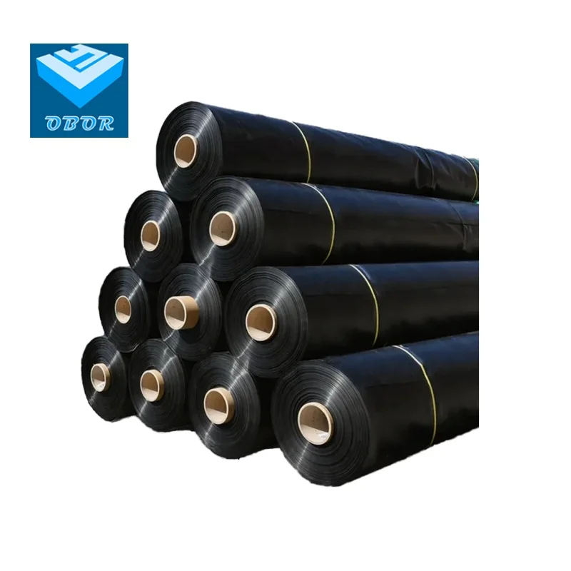 0.3mm 0.5mm 0.75mm 1mm 2mm  Smooth Textured HDPE Geomembrane  For Reservoirs, Fish Shrimp Farm, Dam, Landfill, Pool, Lake