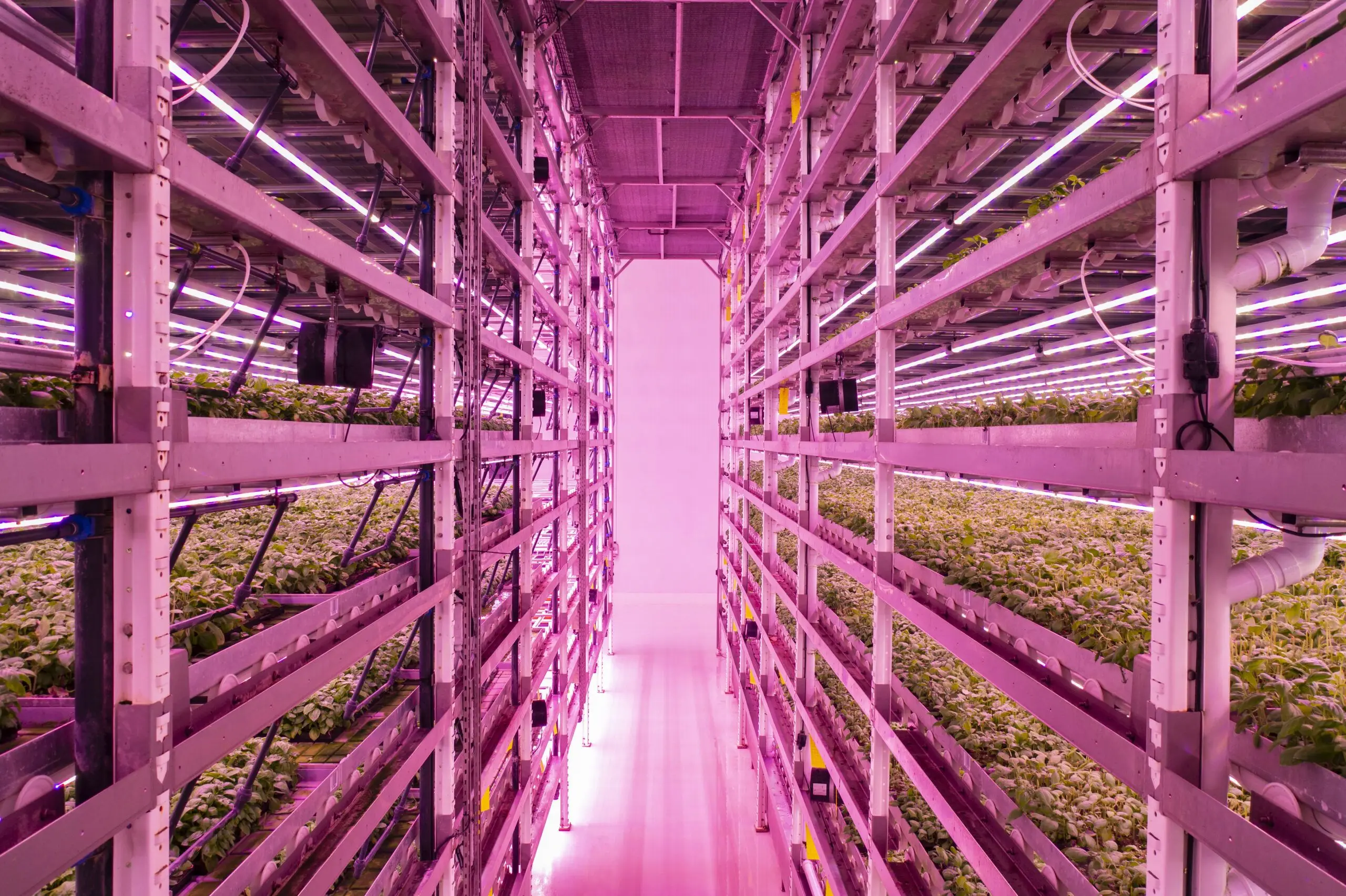 Skyplant автоматизированные поставщики сельскохозяйственных теплиц высокого качества Вертикальная сельскохозяйственная система гидропоники