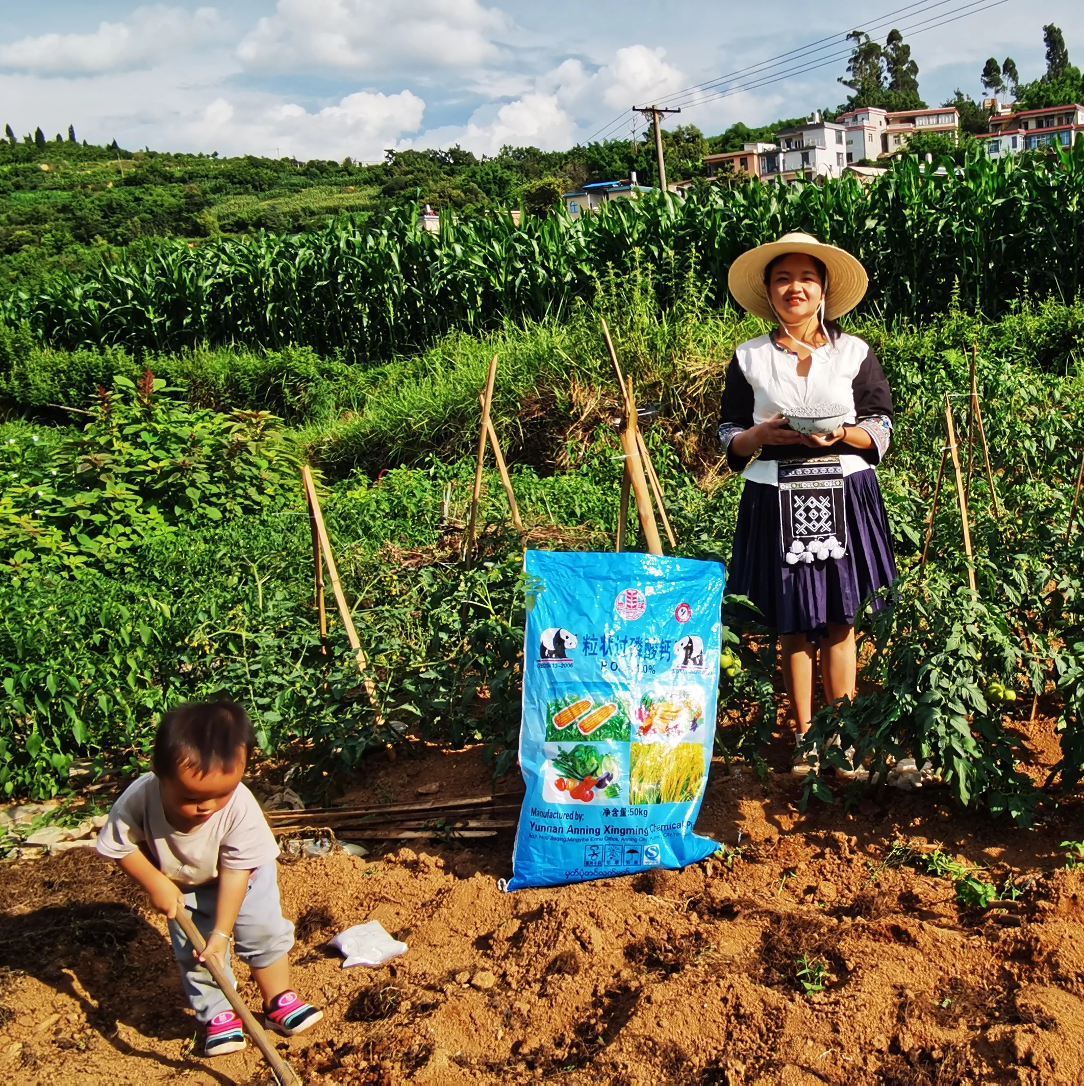  Bulk Supply Farm Fertilizer 12% Granular Single