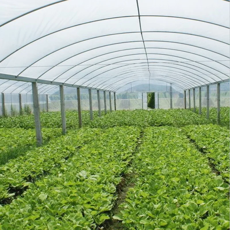 China High Quality Greenhouse Plastic Woven Poly Greenhouse Plastic and Transparent Greenhouse Plastic for Vegetable Garden