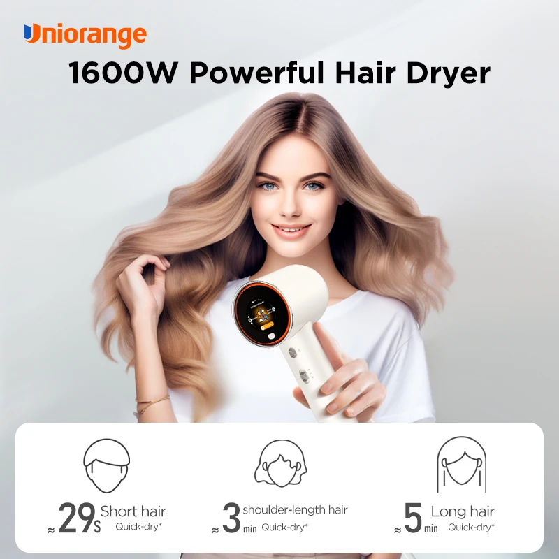 New Grip Induction plasma Hair Blowing Machine Strong Power Silent Brushless Motor Hair Dryer