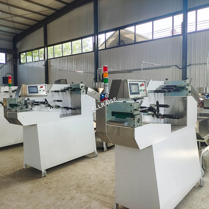 Good price easy operation PE Zipper Extruder Machine