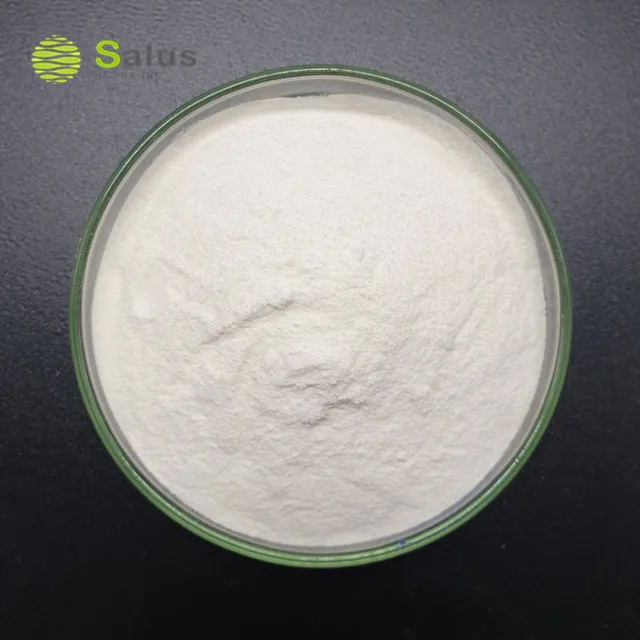 Top Quality Lactobacillus Paracasei