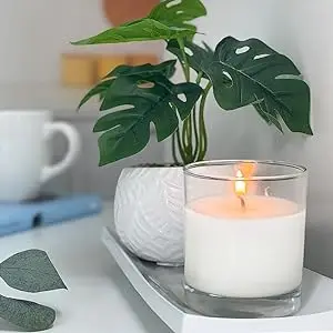 High Quality Eco Luxury Candle Material Pure Natural Coconut Soy Wax For Candle For Holiday Home Decoration & Wedding From China