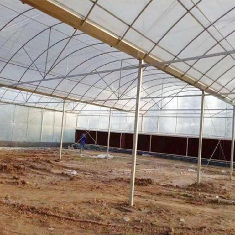 Commercial Tunnel Hydroponic Systems Single-span Greenhouses Equipment For seeding breeding  Single-span Greenhouses