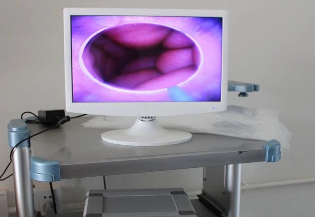 Визуальная инфузионная система Canine, визуальное устройство для искусственного осеменения для осла, мула, лошади, собаки MSLDE01