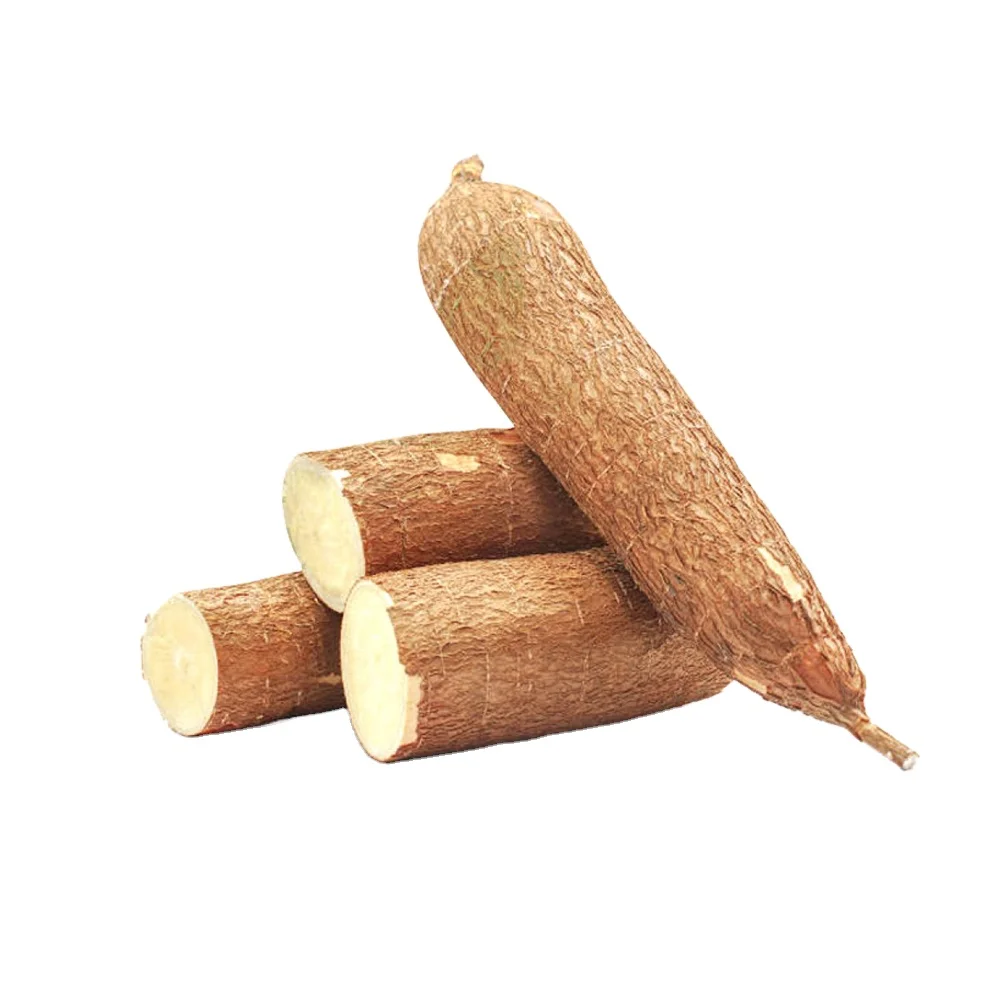 (Sliced and Dried) for Ready to ship and Fast logistic service/ Starch material casava chips International qualify Cassava