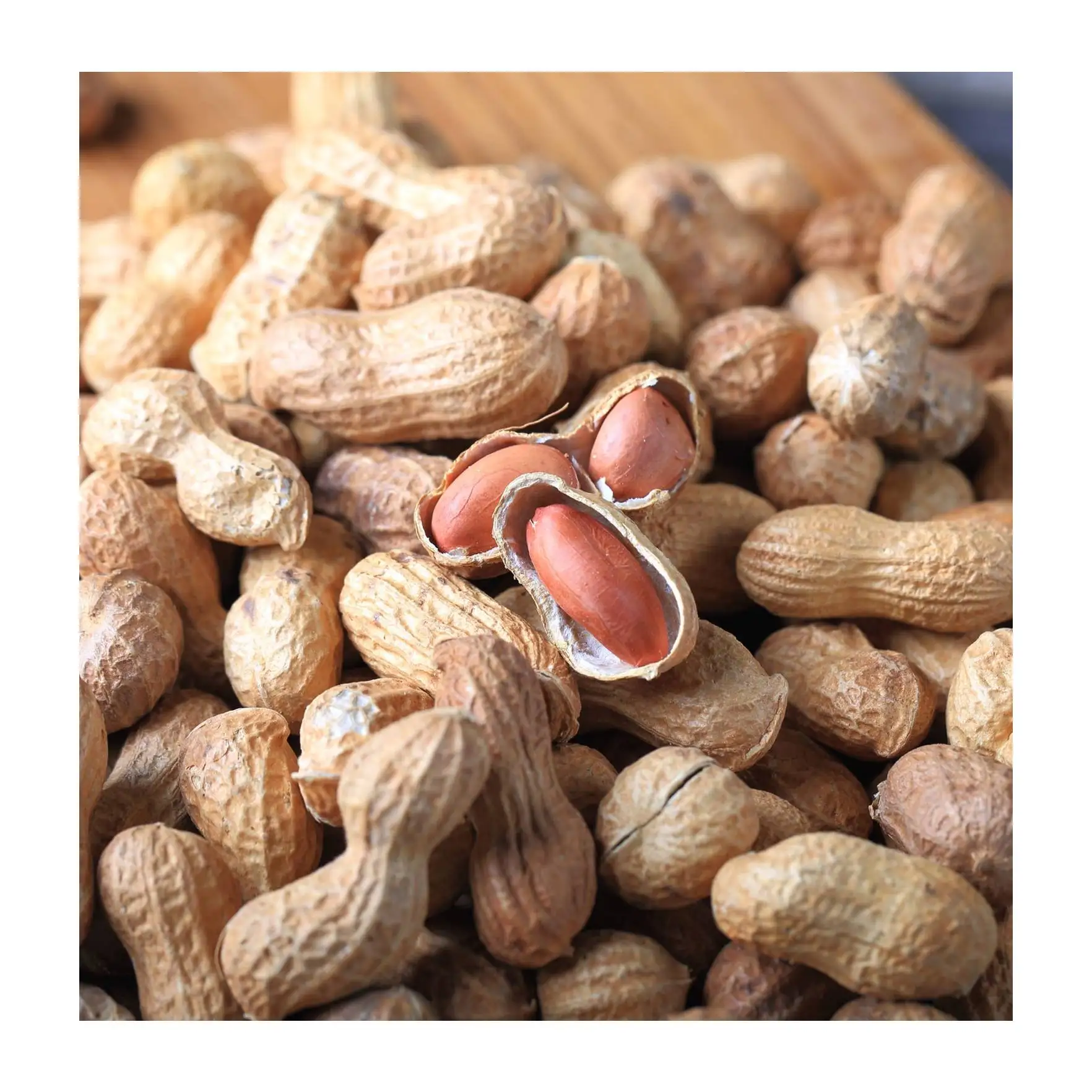 Great quality high protein raw peanut kernels peanut seeds price from Uzbekistan manufacturer wholesale for export (1600455165957)