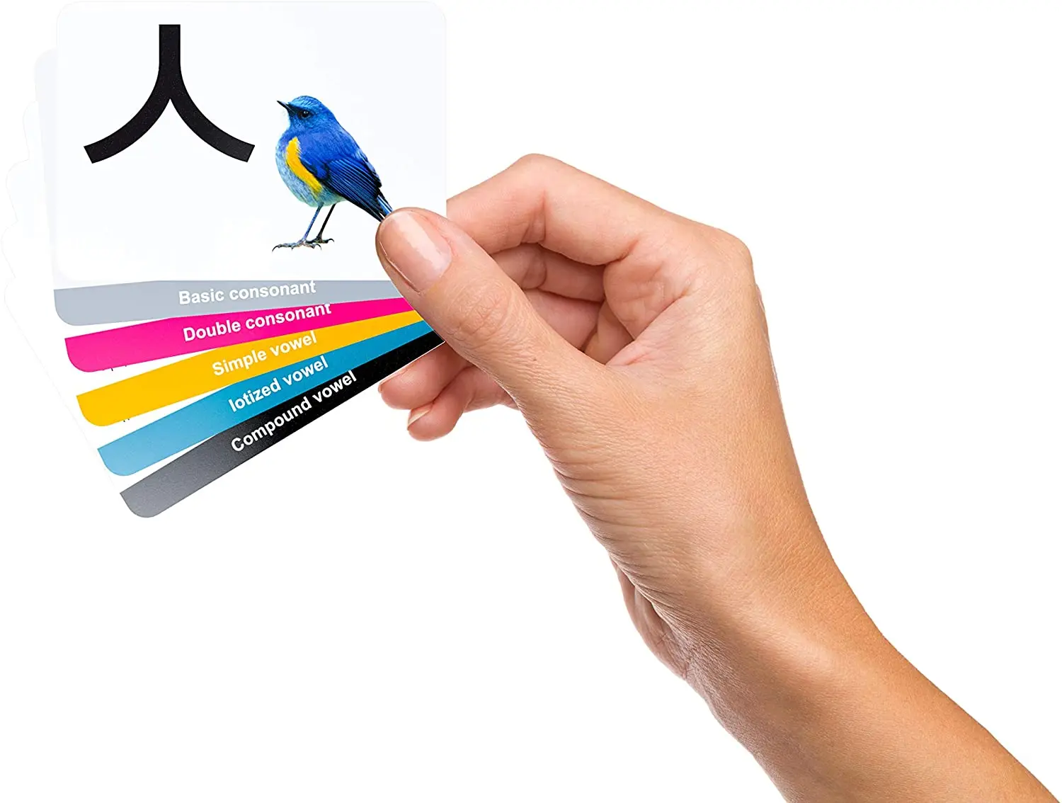 China Factory OEM Custom Korean Card Printed Anime Game Cards Animals Flash Card Alphabet Flashcards