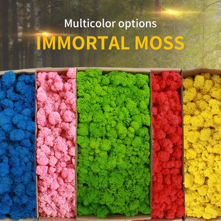 
Wholesale Artificial Lemon Bonsai Plants Artificial Fruit Tree for Decor Star Quantity Airport Wedding Technology Customized GUA 