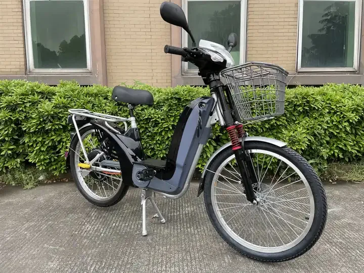 Cheap Electric Bike 48V 12Ah Electric Bicycle 350W Cargo Bike Cheap Bicicleta Electrica For Adults