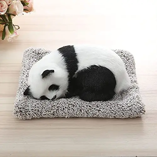 Simulation Panda (3).jpg