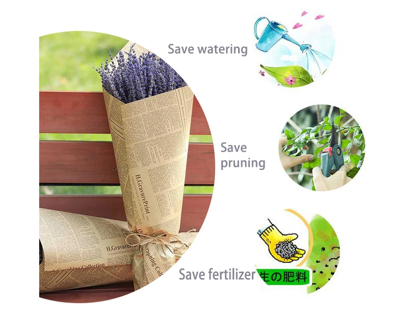 G10 Home Decoration Fragrance Handmade Soap Dried Lavender Bunches Bundle100% Natural Flower Carton Box Easter Decoration 50cm