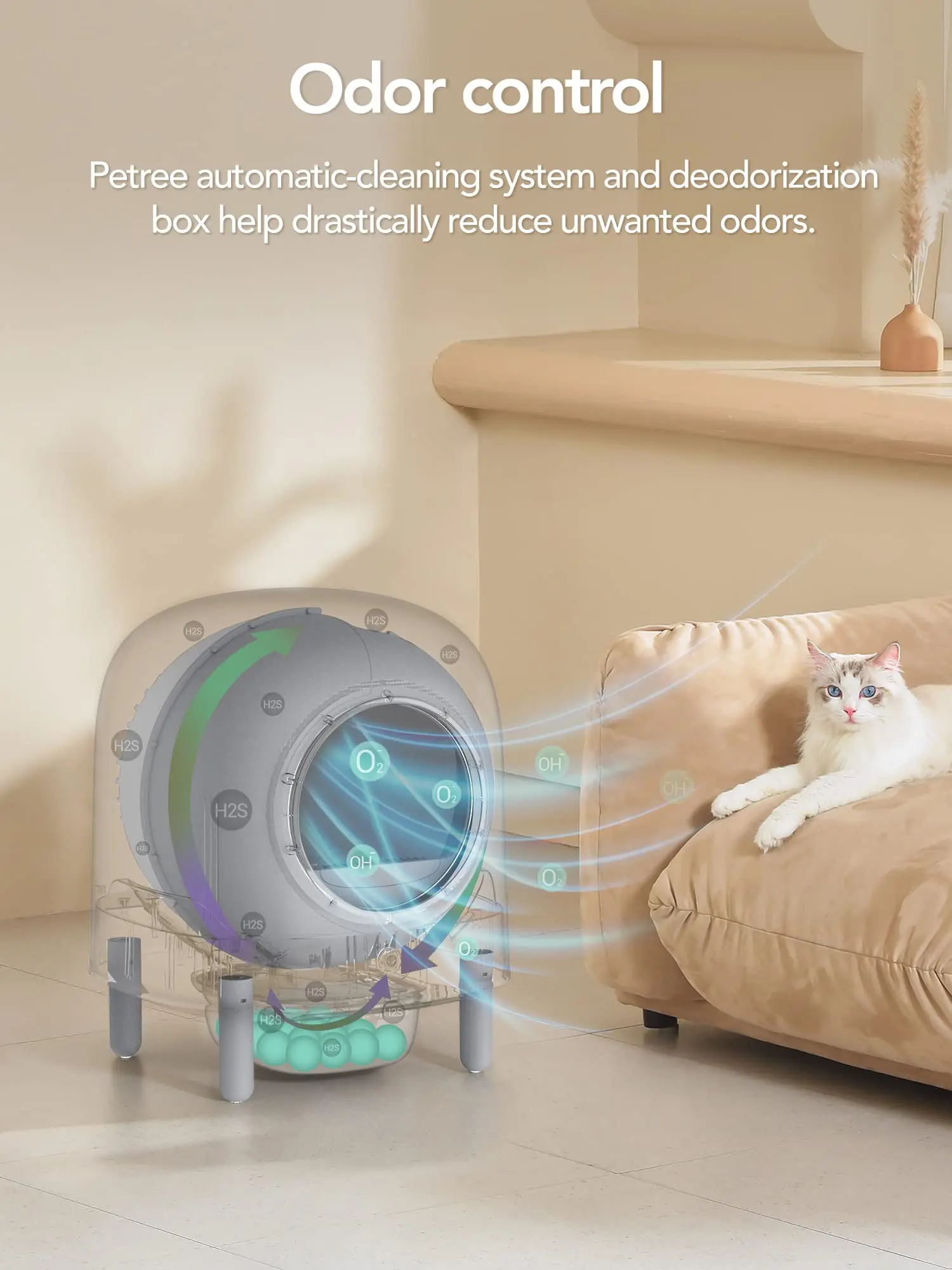 Wholesale Electric Smart Home Petree Pet Self Cleaning Automatic Self Clean Black Cat Litter Box Toilet For Small Cats