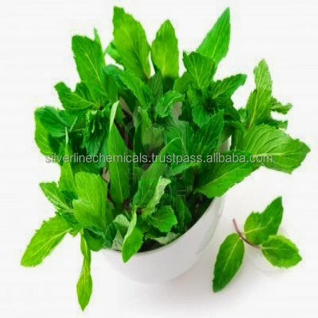 Natural High Quality Menthol For Sale