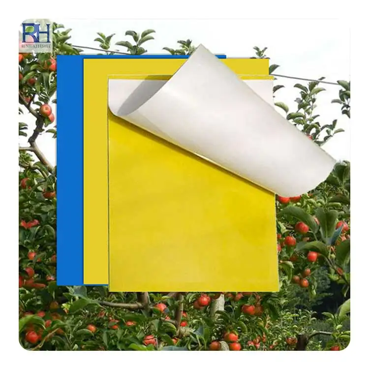 Yellow fruit fly trap flying insect trap board for Farm orchard greenhouse balcony plants disease and pest control