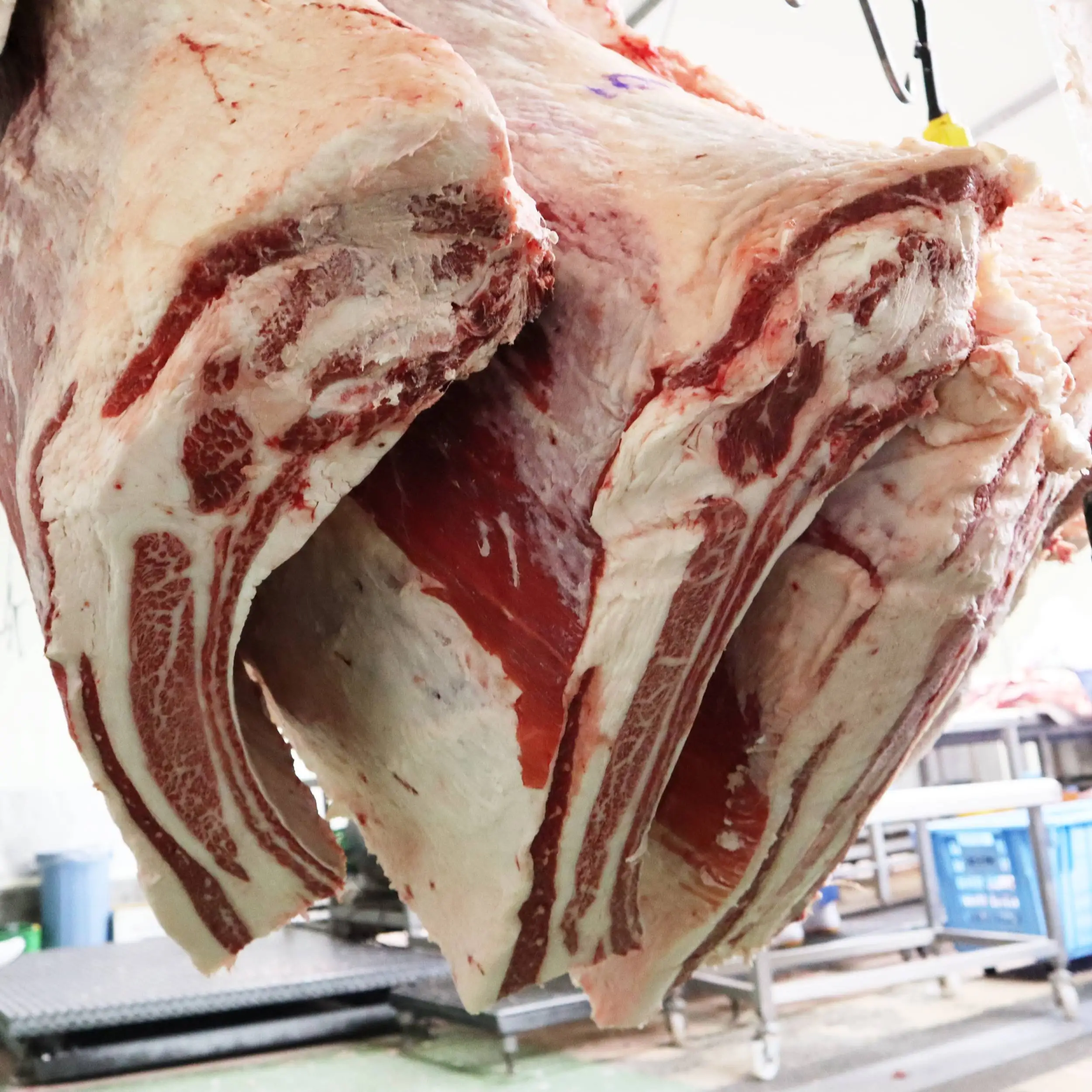  Высококачественный японский замороженный стейк из говядины a4 a5 wagyu для оптовой