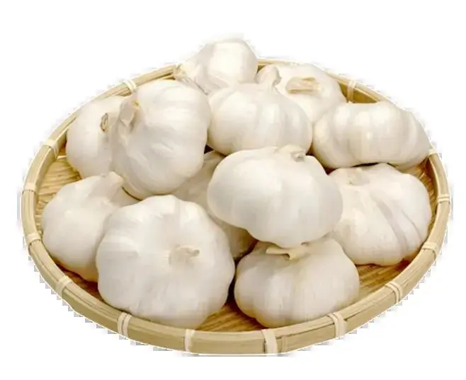 High Quality Dried Garlic Ready To Ship From Vietnam Dried Garlic For Cooking Best Price For Wholesale