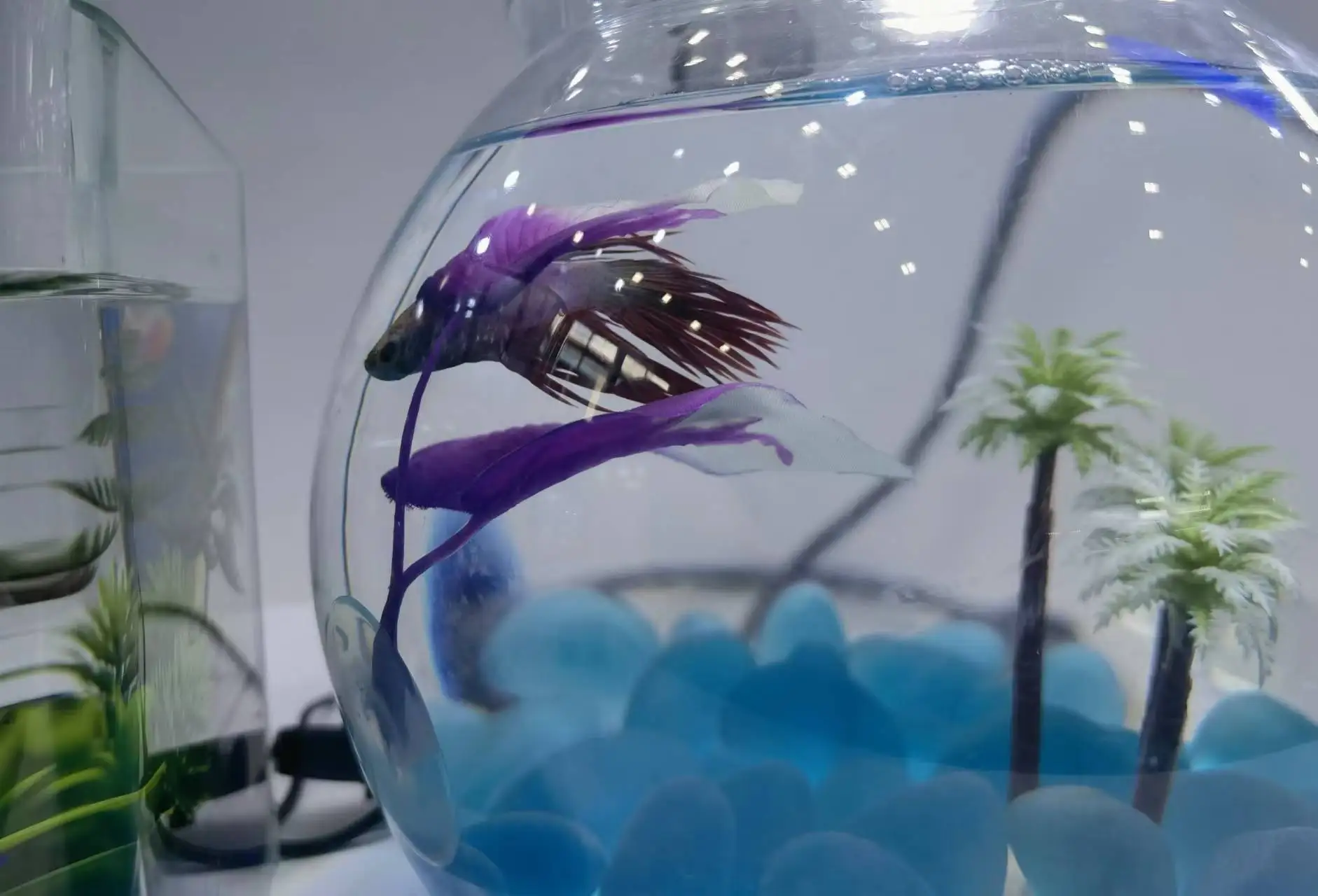 Оптовая продажа разных размеров 3L 5L 6 L 10L 8L 12L 19L PET PC пластиковый мини светодиодный круглый аквариум