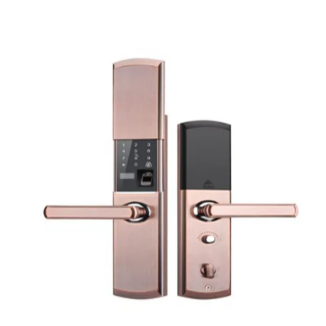 2023 New Electronic Cheap Biometric Home Fingerprint Door Lock Keyless Mould