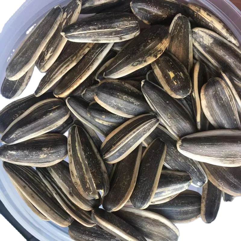 Sunflower Seeds type 361 363 601