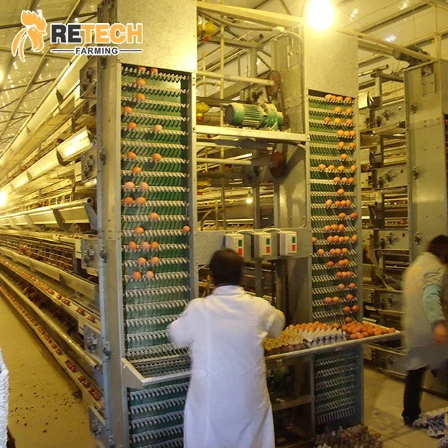 Good price automatic poultry farming h type battery chicken cage egg layer for sale