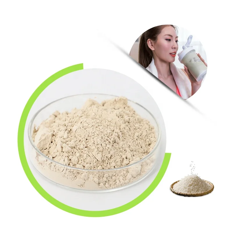 Richtek hot sale high quality brown rice protein iso9001 bulk brown rice protein powder promotion raw brown rice protein stock