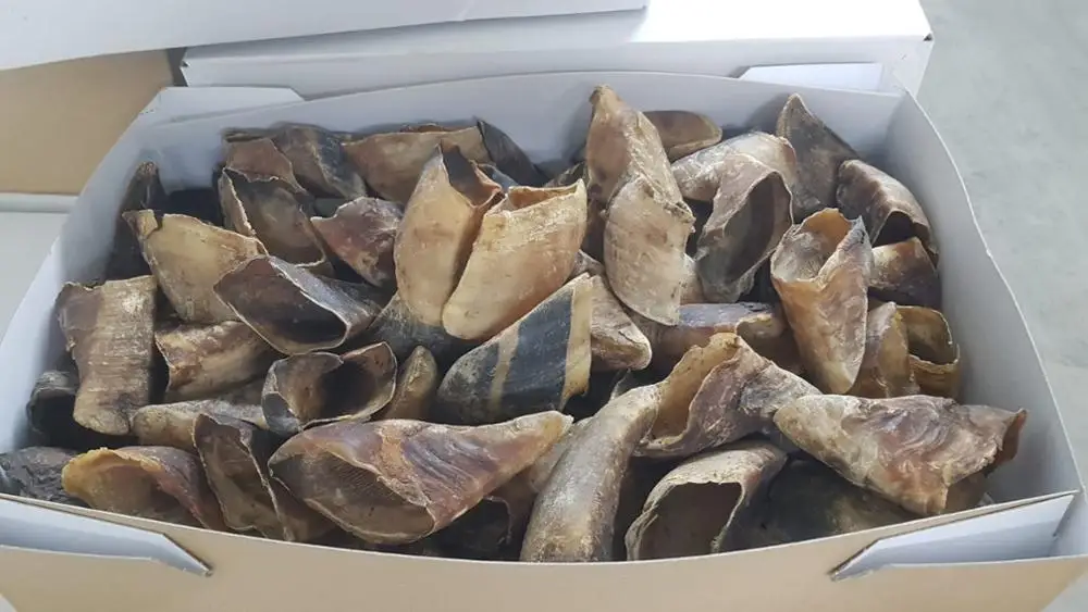 Горячая Распродажа Высококачественная замороженная копыта для крупного рогатого скота