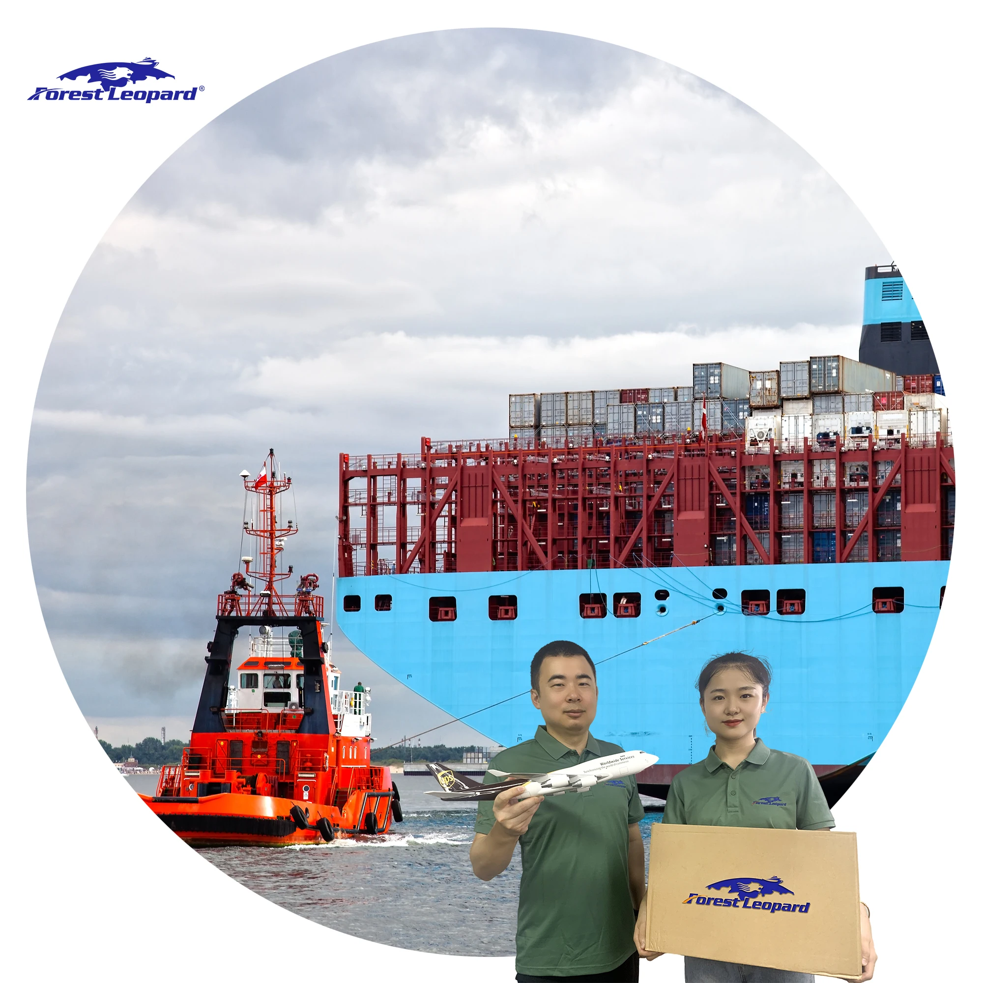 Free sourcing container ocean freight forwarder Seashipping company from china shenzhen shanghai qingdao shantou tianjin