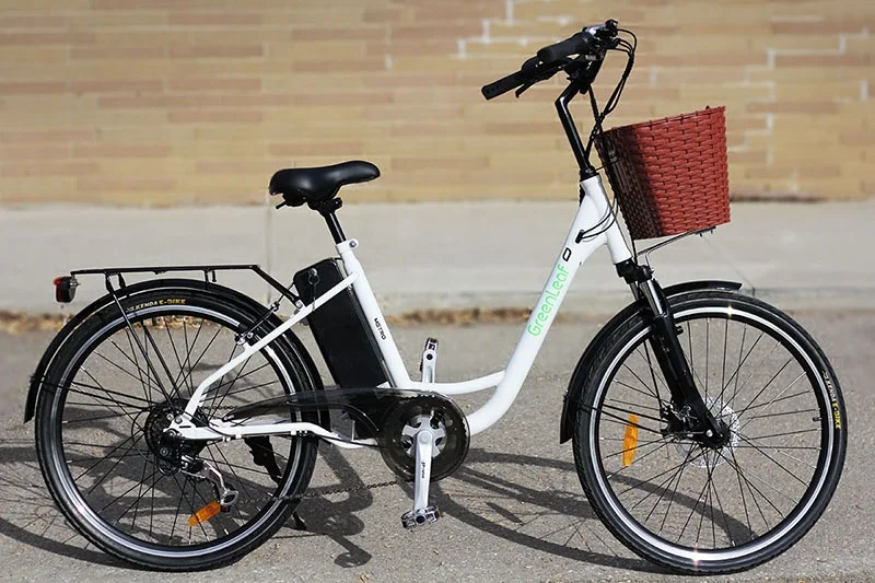 Advanced Technology Low Price Electric City Bike Women With Children
