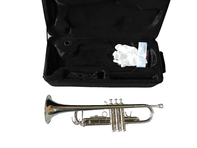 Quality assurance Portable Elegant  Customizable logo  Nordic Style Trumpet